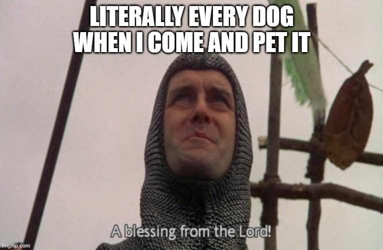 A blessing from the lord | LITERALLY EVERY DOG WHEN I COME AND PET IT | image tagged in a blessing from the lord | made w/ Imgflip meme maker