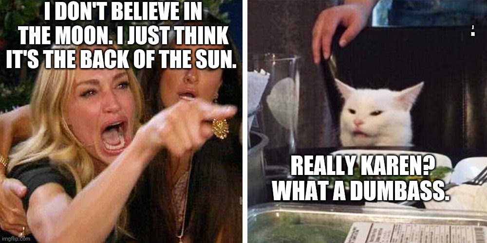 Smudge the cat | I DON'T BELIEVE IN THE MOON. I JUST THINK IT'S THE BACK OF THE SUN. J M; REALLY KAREN? WHAT A DUMBASS. | image tagged in smudge the cat | made w/ Imgflip meme maker