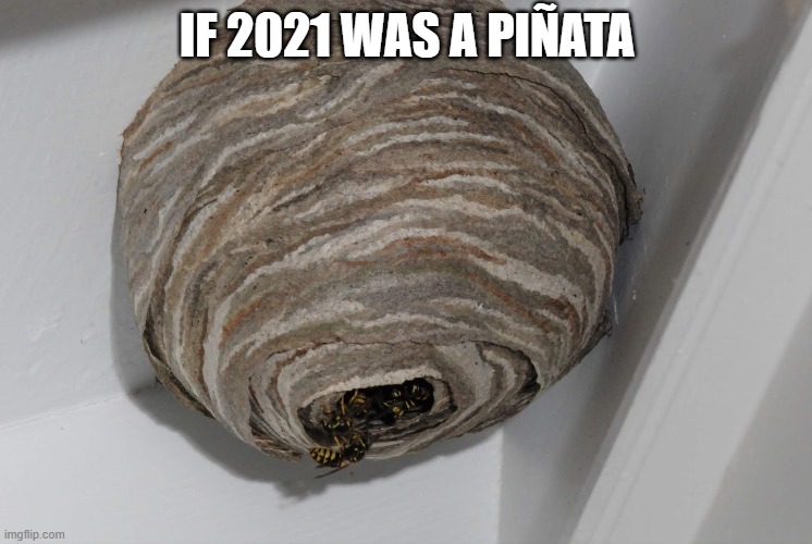 2021 | IF 2021 WAS A PIÑATA | image tagged in 2021 | made w/ Imgflip meme maker