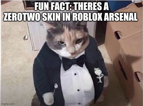 Fancy Cat | FUN FACT: THERES A ZEROTWO SKIN IN ROBLOX ARSENAL | image tagged in fancy cat | made w/ Imgflip meme maker