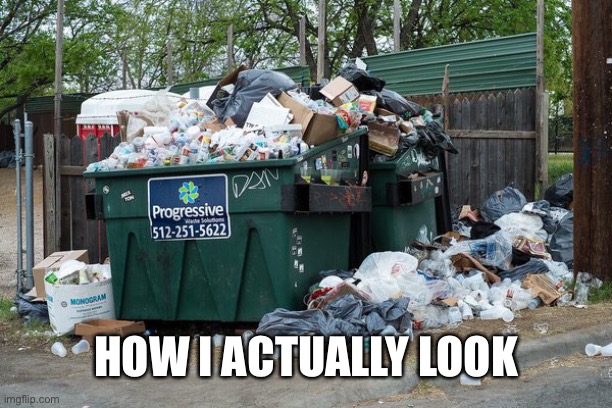 garbage  | HOW I ACTUALLY LOOK | image tagged in garbage | made w/ Imgflip meme maker