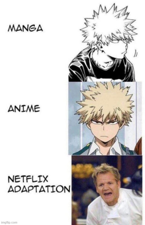 just wanted to post another one of these funny memes... | image tagged in manga anime netflix adaption,my hero academia,bakugo,angry chef gordon ramsay | made w/ Imgflip meme maker
