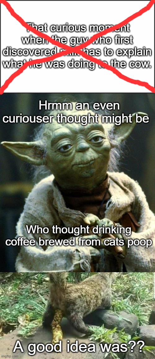 Philosophical Yoda | That curious moment when the guy who first discovered milk has to explain what he was doing to the cow. Hrmm an even curiouser thought might be; Who thought drinking coffee brewed from cats poop; A good idea was?? | image tagged in plain white,memes,star wars yoda | made w/ Imgflip meme maker