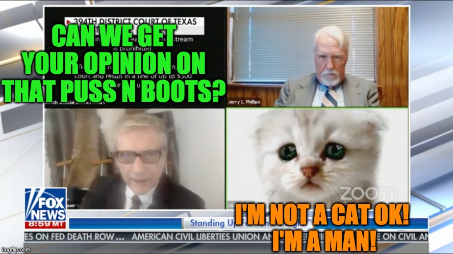 When you don't want to get dressed for that meeting Zoom Call. | CAN WE GET YOUR OPINION ON THAT PUSS N BOOTS? I'M NOT A CAT OK! 
I'M A MAN! | image tagged in meeting filters | made w/ Imgflip meme maker