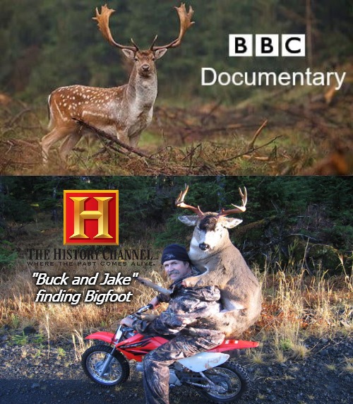 "Buck and Jake"
finding Bigfoot | image tagged in buck | made w/ Imgflip meme maker