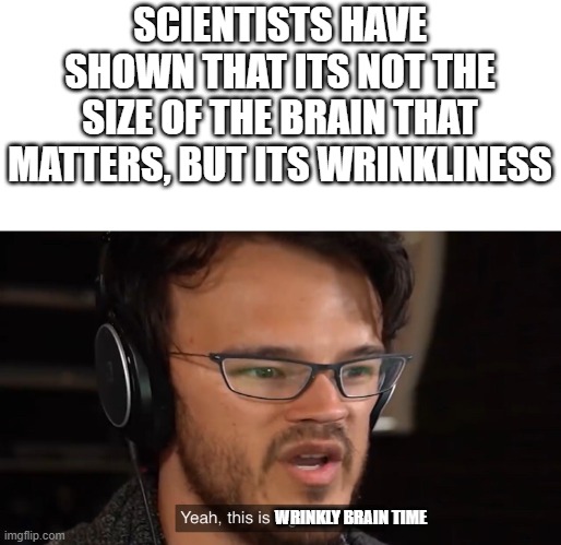is your brain wrinkly? | SCIENTISTS HAVE SHOWN THAT ITS NOT THE SIZE OF THE BRAIN THAT MATTERS, BUT ITS WRINKLINESS; WRINKLY BRAIN TIME | image tagged in it's big brain time | made w/ Imgflip meme maker