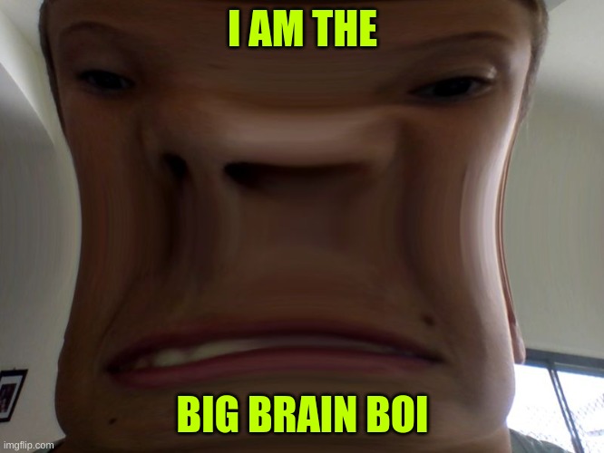 I AM THE; BIG BRAIN BOI | image tagged in i am the big brain boi | made w/ Imgflip meme maker