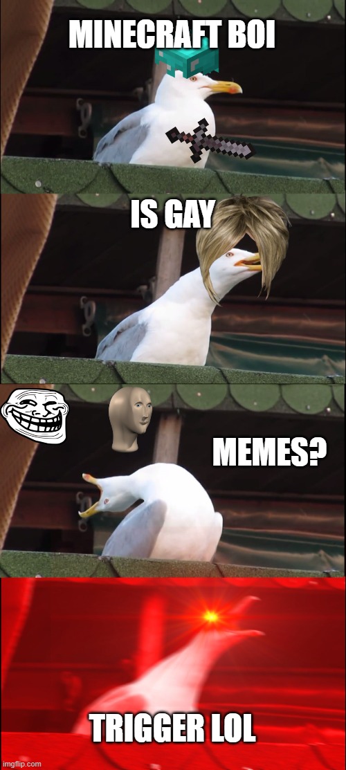 gay karen? | MINECRAFT BOI; IS GAY; MEMES? TRIGGER LOL | image tagged in memes,inhaling seagull | made w/ Imgflip meme maker