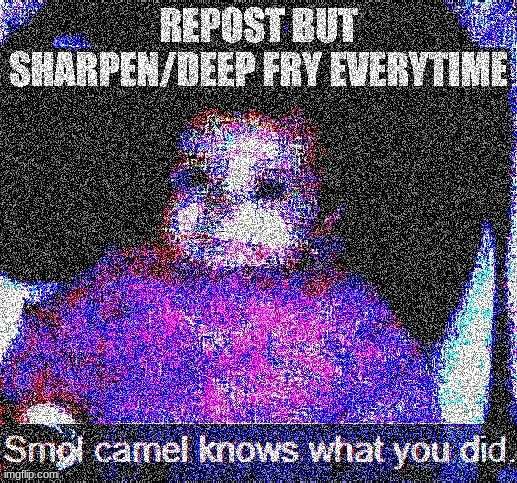 camel?! | image tagged in holy shit,run | made w/ Imgflip meme maker