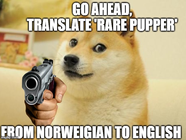 Go ahead? ? ? | GO AHEAD, TRANSLATE 'RARE PUPPER'; FROM NORWEIGIAN TO ENGLISH | image tagged in doge,funny,google translate,hilarious,doge 2,doge holding a gun | made w/ Imgflip meme maker