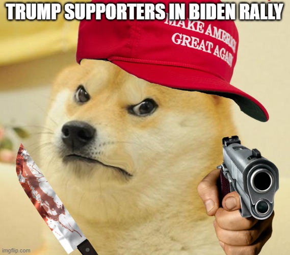 They be killing dem fools | TRUMP SUPPORTERS IN BIDEN RALLY | image tagged in doge,donald trump,joe biden,funny,politics,hilarious memes | made w/ Imgflip meme maker