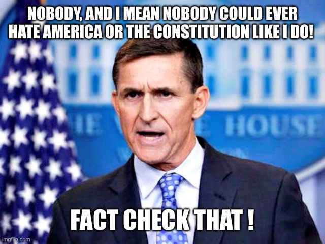 Mike Flynn | NOBODY, AND I MEAN NOBODY COULD EVER HATE AMERICA OR THE CONSTITUTION LIKE I DO! FACT CHECK THAT ! | image tagged in mike flynn | made w/ Imgflip meme maker