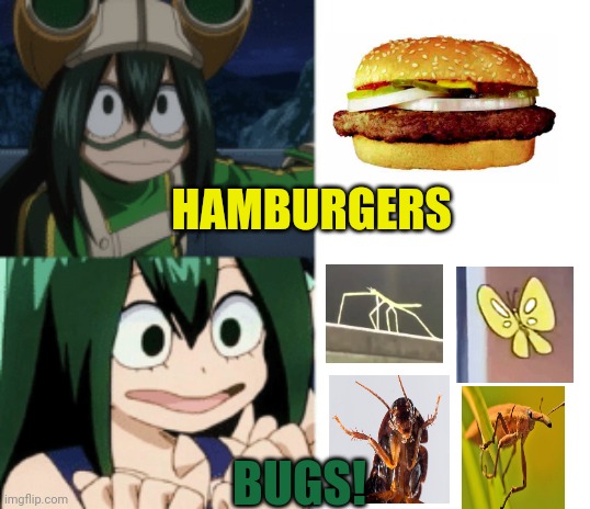 Froppy needs food! | HAMBURGERS; BUGS! | image tagged in asui drake format,froppy,mha,food,eating bugs | made w/ Imgflip meme maker