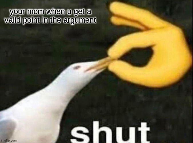 SHUT | your mom when u get a valid point in the argument | image tagged in shut,funny | made w/ Imgflip meme maker
