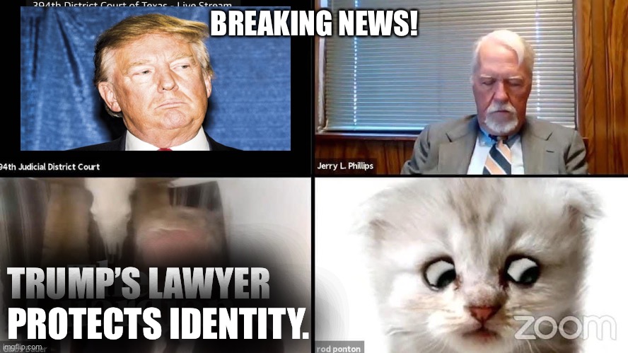 Cat lawyer | BREAKING NEWS! TRUMP’S LAWYER
PROTECTS IDENTITY. | image tagged in boardroom meeting suggestion | made w/ Imgflip meme maker