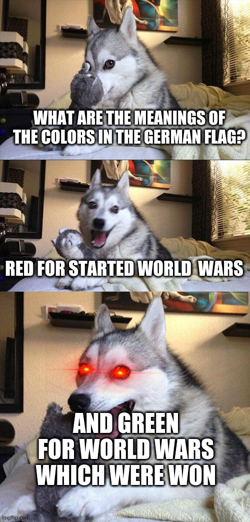Bad Pun Dog |  WHAT ARE THE MEANINGS OF THE COLORS IN THE GERMAN FLAG? RED FOR STARTED WORLD  WARS; AND GREEN FOR WORLD WARS WHICH WERE WON | image tagged in memes,bad pun dog | made w/ Imgflip meme maker