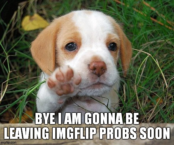 dog puppy bye | BYE I AM GONNA BE LEAVING IMGFLIP PROBS SOON | image tagged in dog puppy bye | made w/ Imgflip meme maker