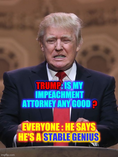 If He Says So It Must Be True | ? TRUMP; TRUMP : IS MY IMPEACHMENT ATTORNEY ANY GOOD ? EVERYONE : HE SAYS HE'S A STABLE GENIUS; STABLE GENIUS | image tagged in donald trump,memes,trump lies,trump impeachment,impeachment,lock him up | made w/ Imgflip meme maker