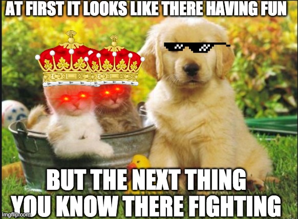 dog and cat memes | AT FIRST IT LOOKS LIKE THERE HAVING FUN; BUT THE NEXT THING YOU KNOW THERE FIGHTING | image tagged in doge | made w/ Imgflip meme maker