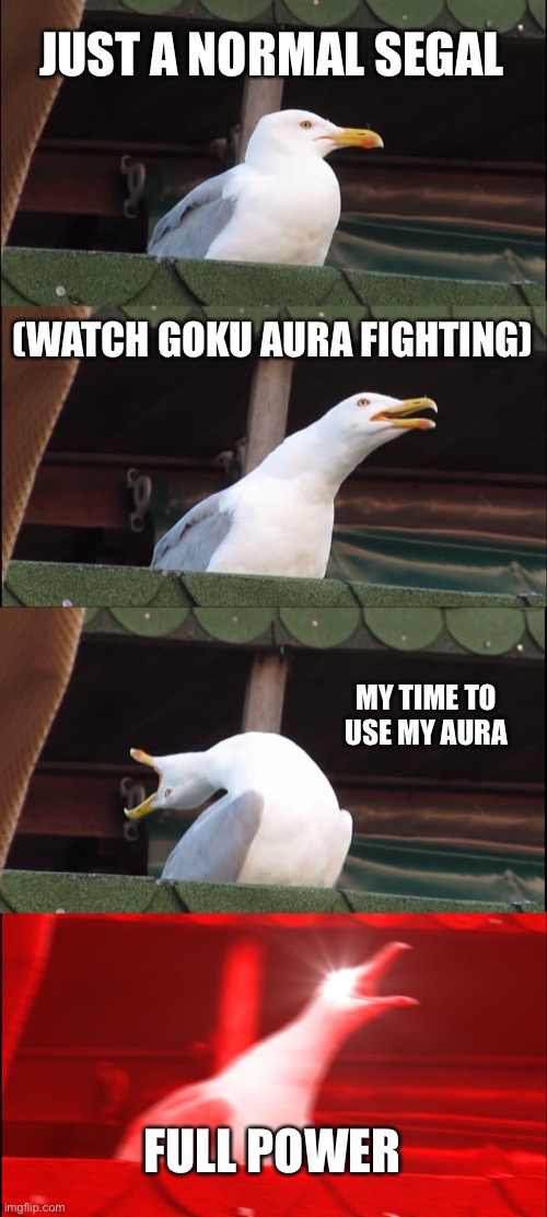 Seagull instinkt | JUST A NORMAL SEGAL; (WATCH GOKU AURA FIGHTING); MY TIME TO USE MY AURA; FULL POWER | image tagged in memes,inhaling seagull | made w/ Imgflip meme maker