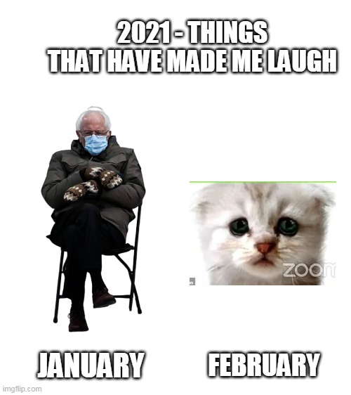 Blank White Template | 2021 - THINGS THAT HAVE MADE ME LAUGH; JANUARY; FEBRUARY | image tagged in blank white template,2021,zoom,bernie mittens,laugh | made w/ Imgflip meme maker