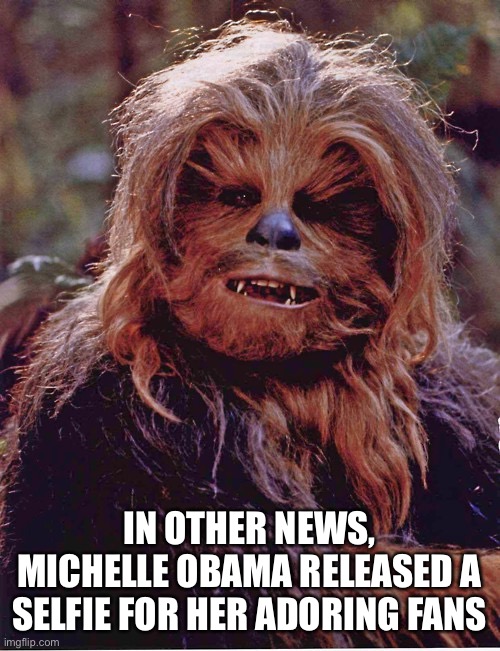 She got her hair done | IN OTHER NEWS, MICHELLE OBAMA RELEASED A SELFIE FOR HER ADORING FANS | image tagged in chewbacca | made w/ Imgflip meme maker