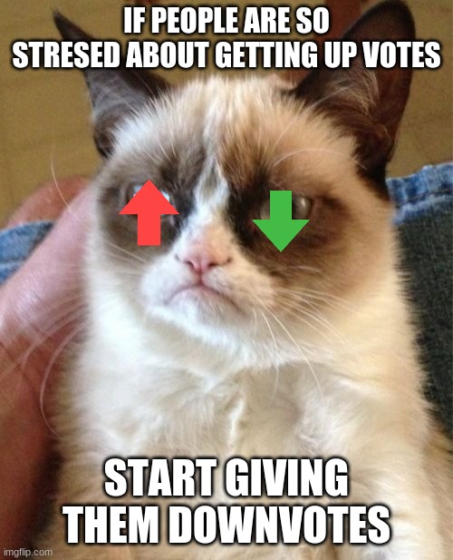 Grumpy Cat Meme | IF PEOPLE ARE SO STRESED ABOUT GETTING UP VOTES; START GIVING THEM DOWNVOTES | image tagged in memes,grumpy cat | made w/ Imgflip meme maker