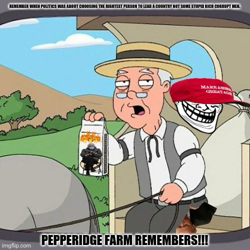 Pepperidge Farm Remembers | REMEMBER WHEN POLITICS WAS ABOUT CHOOSING THE RIGHTEST PERSON TO LEAD A COUNTRY NOT SOME STUPID RICH CORRUPT MEN. PEPPERIDGE FARM REMEMBERS!!! | image tagged in memes,pepperidge farms,corrupt | made w/ Imgflip meme maker