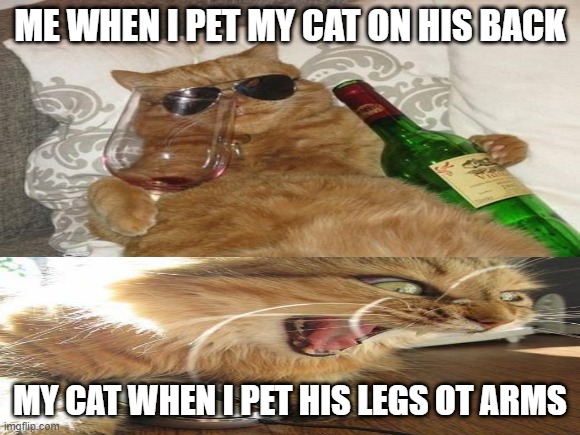ME WHEN I PET MY CAT ON HIS BACK; MY CAT WHEN I PET HIS LEGS OT ARMS | image tagged in mycat,double img meme | made w/ Imgflip meme maker