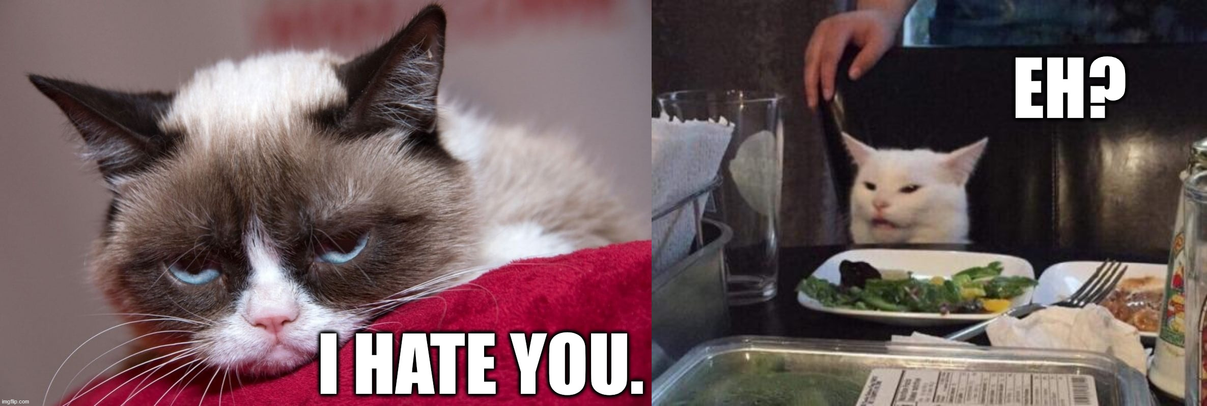 The two greatest cats in meme history! | EH? I HATE YOU. | image tagged in salad cat,smudge the cat,grumpy cat,tardar sauce | made w/ Imgflip meme maker