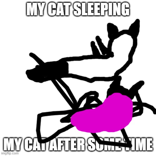 btw in the second img my cats licking him self | MY CAT SLEEPING; MY CAT AFTER SOME TIME | image tagged in memes,blank transparent square,cats | made w/ Imgflip meme maker