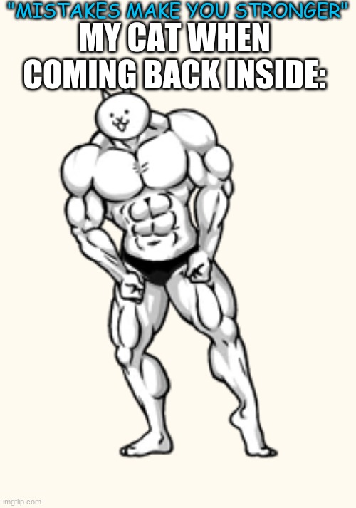 Beefcake Cat | "MISTAKES MAKE YOU STRONGER"; MY CAT WHEN COMING BACK INSIDE: | image tagged in beefcake cat | made w/ Imgflip meme maker