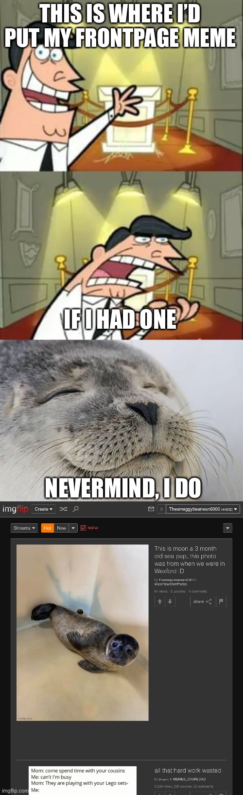 now this, is epic | THIS IS WHERE I’D PUT MY FRONTPAGE MEME; IF I HAD ONE; NEVERMIND, I DO | image tagged in memes,this is where i'd put my trophy if i had one,satisfied seal | made w/ Imgflip meme maker