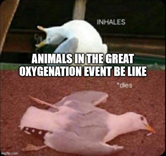 inhales dies bird | ANIMALS IN THE GREAT OXYGENATION EVENT BE LIKE | image tagged in inhales dies bird | made w/ Imgflip meme maker
