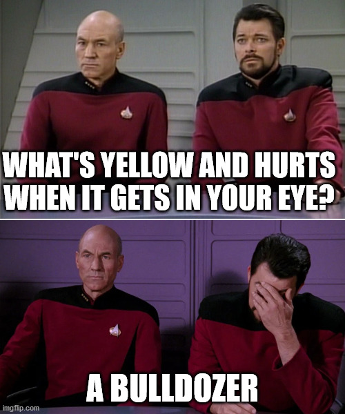 Picard Riker listening to a pun | WHAT'S YELLOW AND HURTS WHEN IT GETS IN YOUR EYE? A BULLDOZER | image tagged in picard riker listening to a pun | made w/ Imgflip meme maker