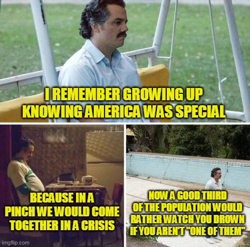 Anti-Americans love to wave the American flag just like it was predicted by Sinclair Lewis | I REMEMBER GROWING UP KNOWING AMERICA WAS SPECIAL; NOW A GOOD THIRD OF THE POPULATION WOULD RATHER WATCH YOU DROWN IF YOU AREN'T "ONE OF THEM"; BECAUSE IN A PINCH WE WOULD COME TOGETHER IN A CRISIS | image tagged in memes,sad pablo escobar | made w/ Imgflip meme maker
