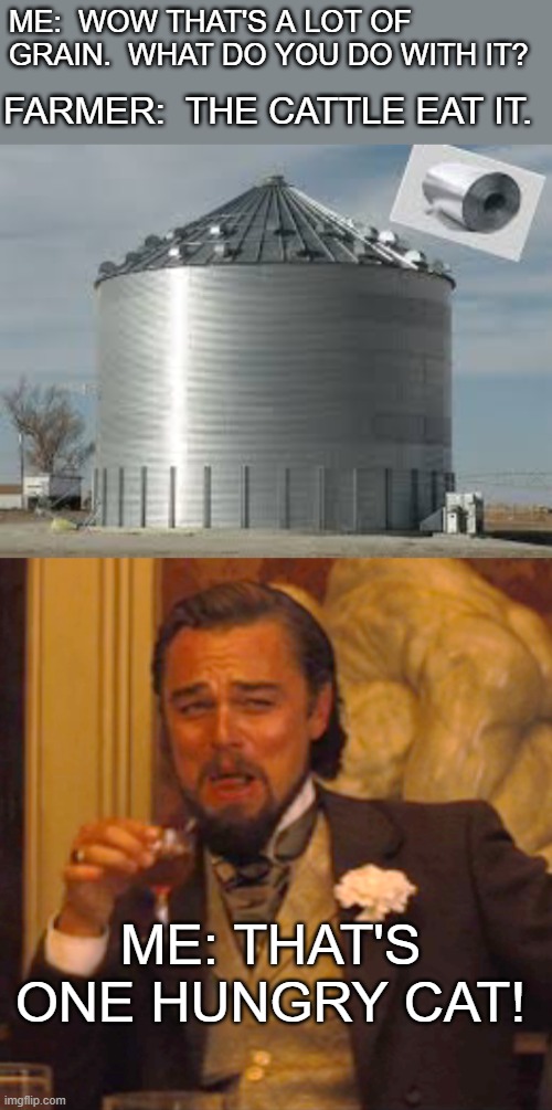ME:  WOW THAT'S A LOT OF GRAIN.  WHAT DO YOU DO WITH IT? FARMER:  THE CATTLE EAT IT. ME: THAT'S ONE HUNGRY CAT! | image tagged in memes,laughing leo | made w/ Imgflip meme maker