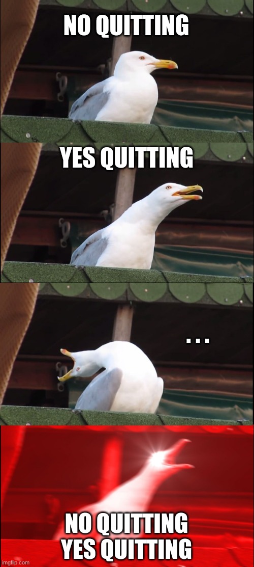 Im thinking of quitting wut sould i do | NO QUITTING; YES QUITTING; . . . NO QUITTING
YES QUITTING | image tagged in memes,inhaling seagull | made w/ Imgflip meme maker