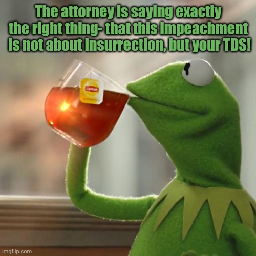 But That's None Of My Business Meme | The attorney is saying exactly the right thing- that this impeachment  is not about insurrection, but your TDS! | image tagged in memes,but that's none of my business,kermit the frog | made w/ Imgflip meme maker