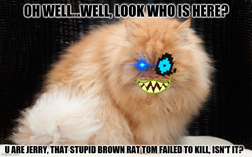 Angry Cat Smiling | OH WELL...WELL, LOOK WHO IS HERE? U ARE JERRY, THAT STUPID BROWN RAT TOM FAILED TO KILL, ISN'T IT? | image tagged in memes,tom and jerry book,evil cat | made w/ Imgflip meme maker