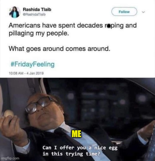 Rashida Tlaib | *; ME | image tagged in can i offer you a nice egg in this trying time,it's always sunny in philidelphia,egg,i don't care | made w/ Imgflip meme maker