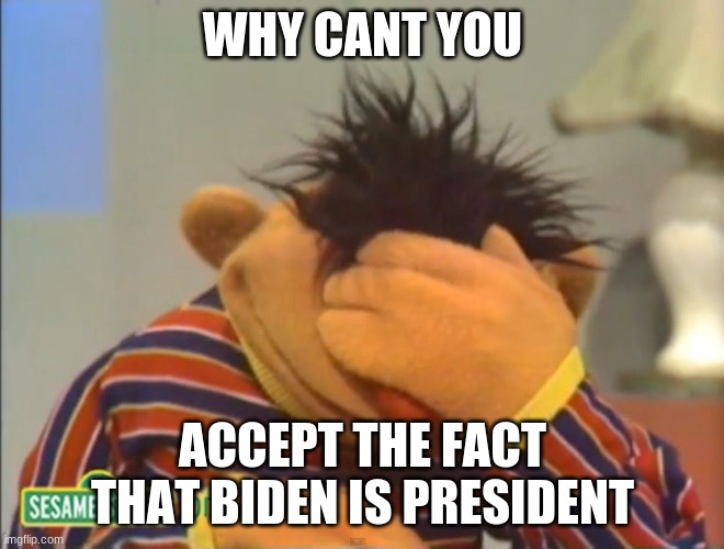 Face palm Ernie  | WHY CANT YOU; ACCEPT THE FACT THAT BIDEN IS PRESIDENT | image tagged in face palm ernie | made w/ Imgflip meme maker