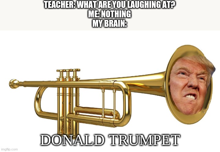 .....What are you laughing at? | TEACHER: WHAT ARE YOU LAUGHING AT?
ME: NOTHING
MY BRAIN:; DONALD TRUMPET | image tagged in donald trumpet,teacher what are you laughing at | made w/ Imgflip meme maker