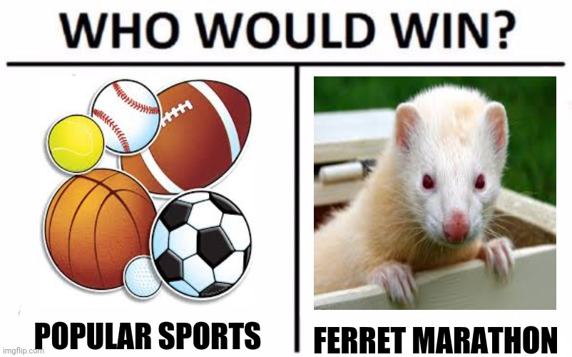 Who Would Win? Meme |  POPULAR SPORTS; FERRET MARATHON | image tagged in memes,who would win,sports fans | made w/ Imgflip meme maker