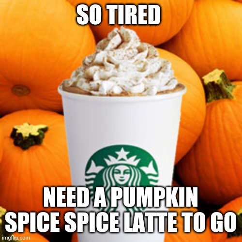 Pumpkin spice latte | SO TIRED; NEED A PUMPKIN SPICE SPICE LATTE TO GO | image tagged in pumpkin spice latte | made w/ Imgflip meme maker