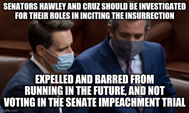 Is this not obvious? | SENATORS HAWLEY AND CRUZ SHOULD BE INVESTIGATED FOR THEIR ROLES IN INCITING THE INSURRECTION; EXPELLED AND BARRED FROM RUNNING IN THE FUTURE, AND NOT VOTING IN THE SENATE IMPEACHMENT TRIAL | image tagged in cruz,hawley,insurrection,impeachment,trump | made w/ Imgflip meme maker