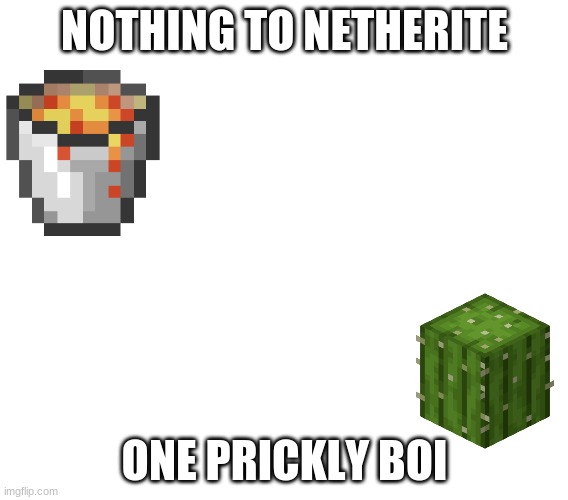 Netherite | NOTHING TO NETHERITE; ONE PRICKLY BOI | image tagged in drake hotline bling | made w/ Imgflip meme maker