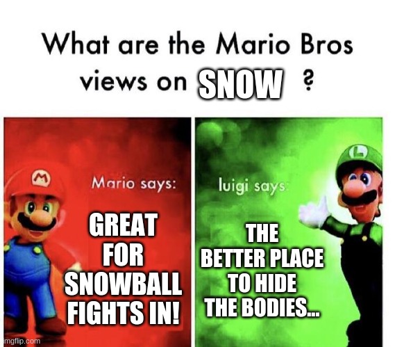 Do Mario's PLEASE | SNOW; GREAT FOR SNOWBALL FIGHTS IN! THE BETTER PLACE TO HIDE THE BODIES... | image tagged in mario bros views | made w/ Imgflip meme maker