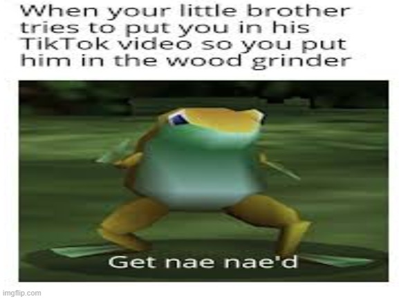stupid child! (this is just an image its not my meme I am giving credit [to whoever made it]) | image tagged in get nae-nae'd | made w/ Imgflip meme maker