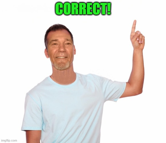 point up | CORRECT! | image tagged in point up | made w/ Imgflip meme maker